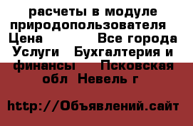 расчеты в модуле природопользователя › Цена ­ 3 000 - Все города Услуги » Бухгалтерия и финансы   . Псковская обл.,Невель г.